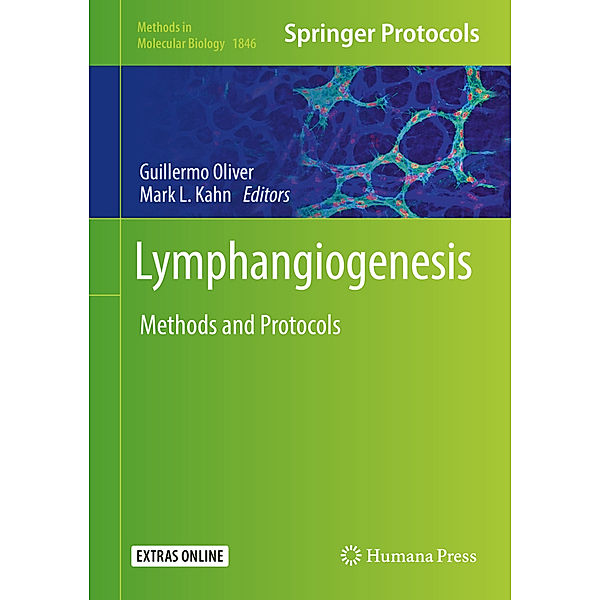 Lymphangiogenesis