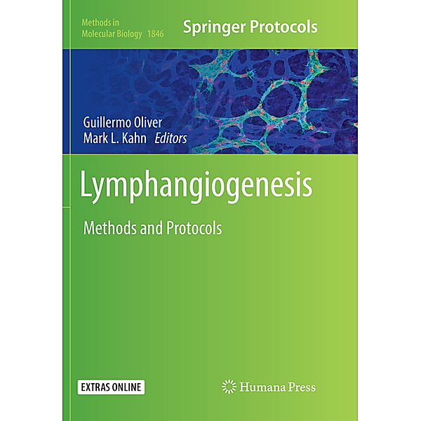 Lymphangiogenesis