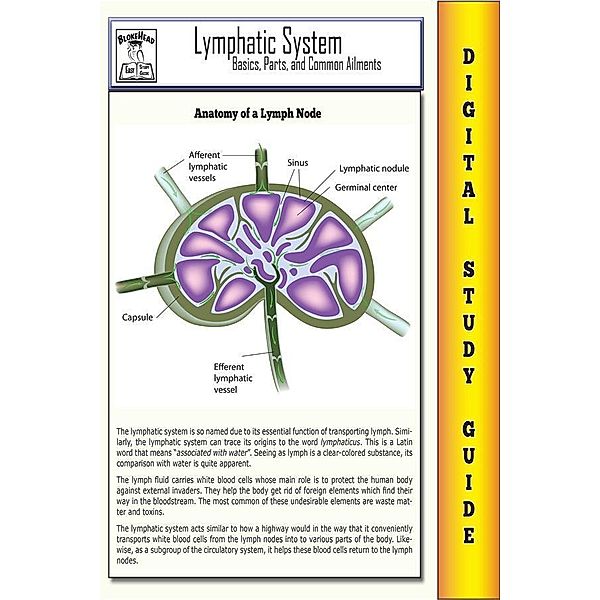 Lymphatic System ( Blokehead Easy Study Guide), The Blokehead