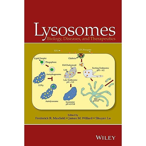 Lysosomes