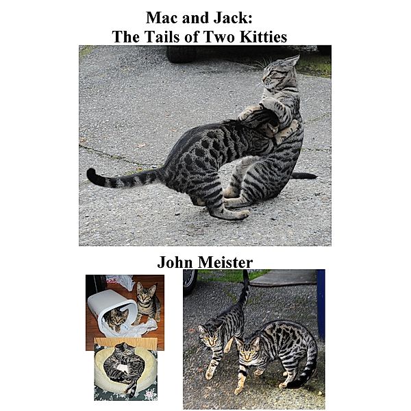 Mac and Jack: The Tails of Two Kitties, as Told by Snapshots, John E. Meister