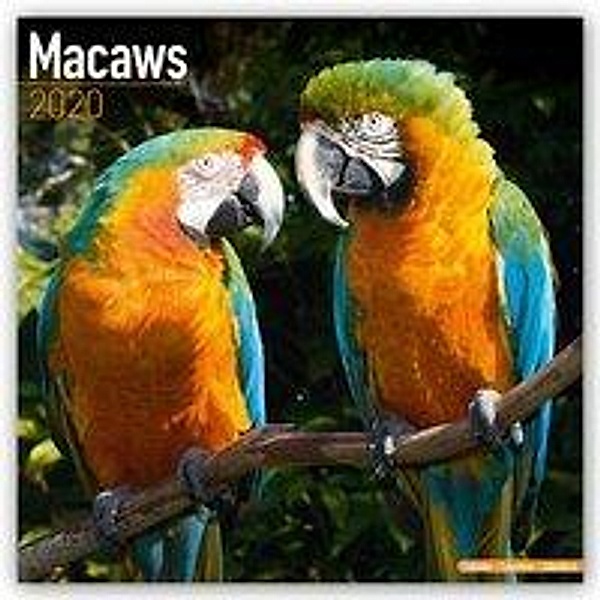 Macaws 2020, Avonside Publishing