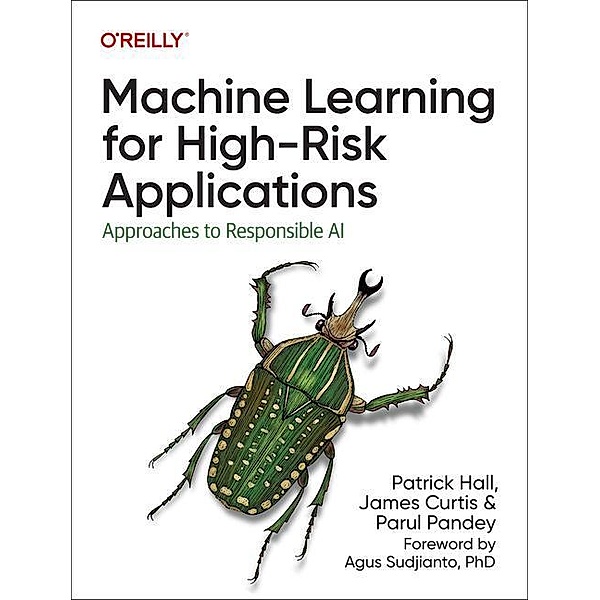 Machine Learning for High-Risk Applications, Patrick Hall, James Curtis, Parul Pandey