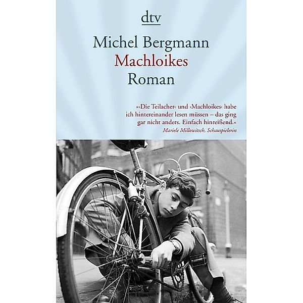 Machloikes / Teilacher Trilogie Bd.2, Michel Bergmann