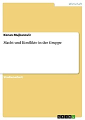 Macht und Konflikte in der Gruppe Kenan Mujkanovic Author