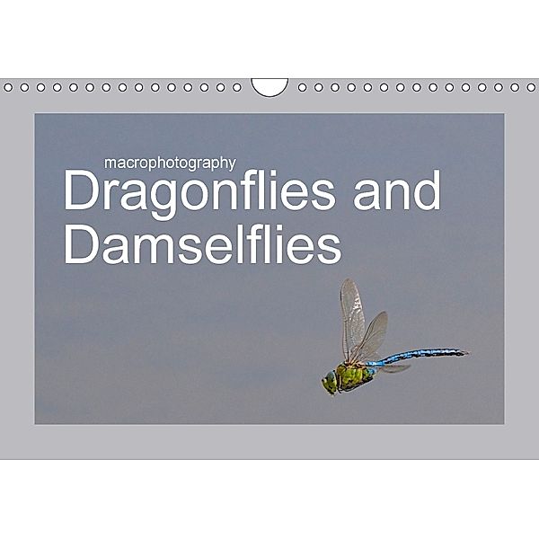 macrophotography Dragonflies and Damselflies (Wall Calendar 2018 DIN A4 Landscape), Lee Wilkinson