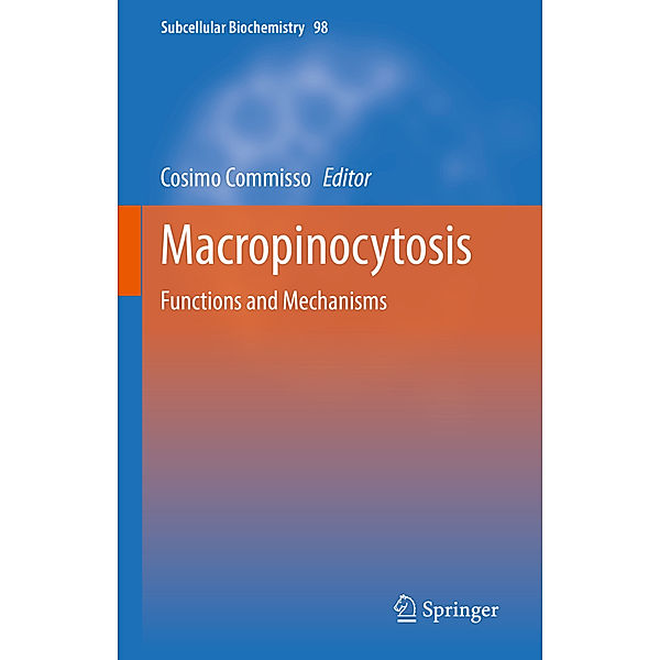 Macropinocytosis