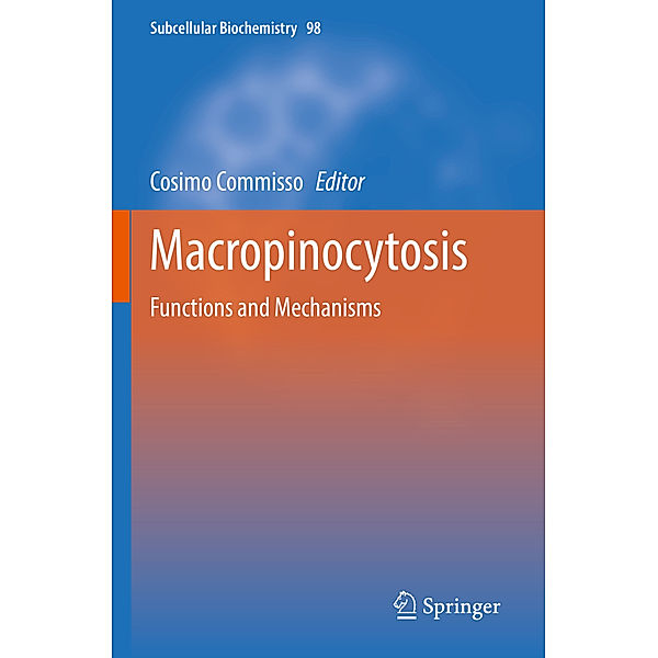 Macropinocytosis