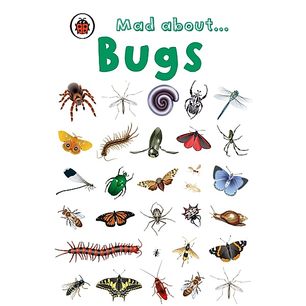 Mad About Bugs, Ladybird