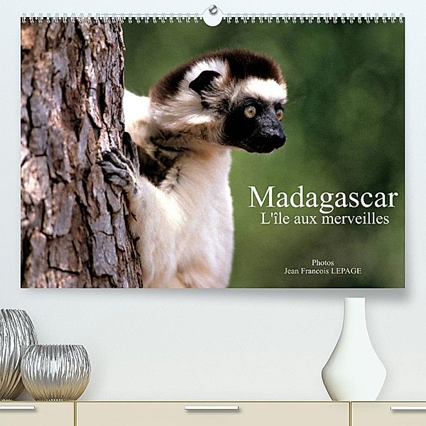 Madagascar L'île aux merveilles (Premium, hochwertiger DIN A2 Wandkalender 2023, Kunstdruck in Hochglanz), Jean François LEPAGE ©