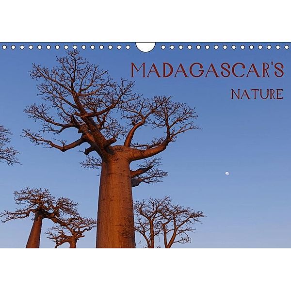 Madagascar's nature (Wall Calendar 2019 DIN A4 Landscape), Marcin Wielicki