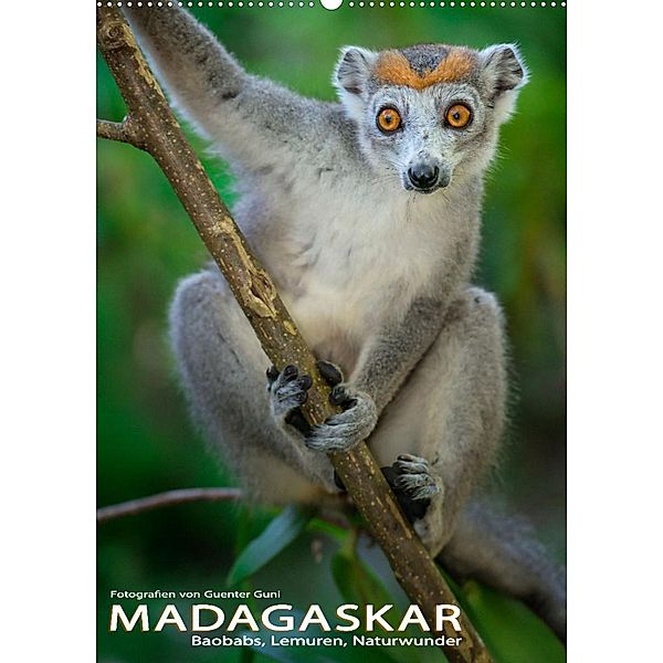 MADAGASKAR: Baobabs, Lemuren, Naturwunder (Wandkalender 2023 DIN A2 hoch), Guenter Guni