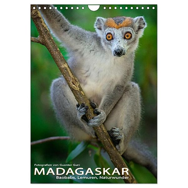 MADAGASKAR: Baobabs, Lemuren, Naturwunder (Wandkalender 2024 DIN A4 hoch), CALVENDO Monatskalender, Guenter Guni