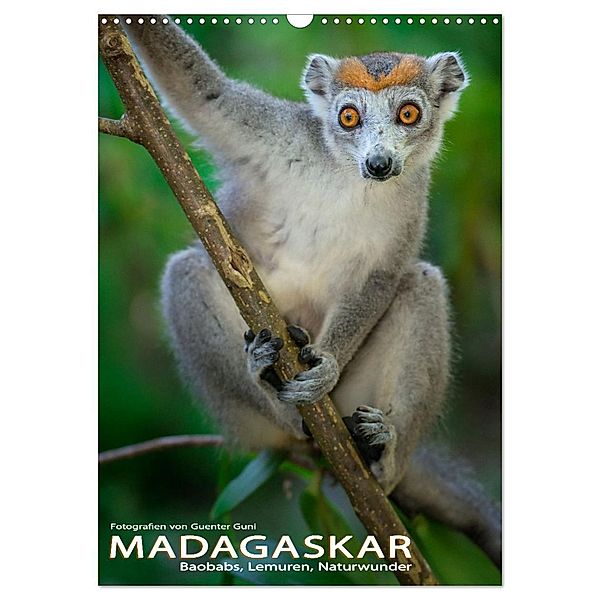MADAGASKAR: Baobabs, Lemuren, Naturwunder (Wandkalender 2025 DIN A3 hoch), CALVENDO Monatskalender, Calvendo, Guenter Guni