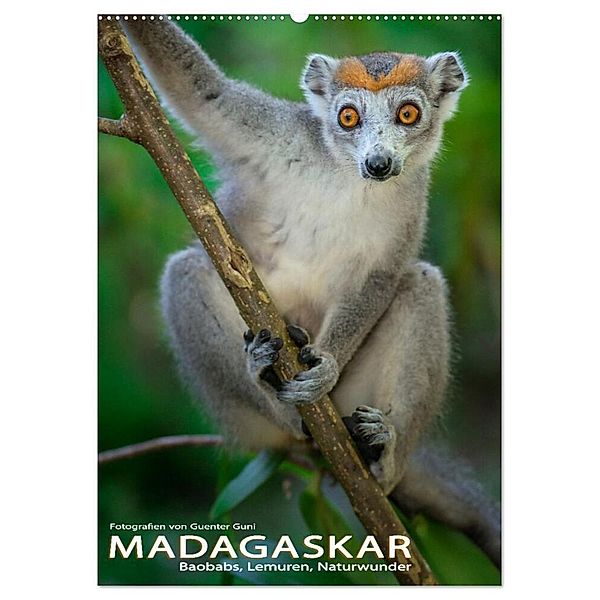 MADAGASKAR: Baobabs, Lemuren, Naturwunder (Wandkalender 2025 DIN A2 hoch), CALVENDO Monatskalender, Calvendo, Guenter Guni