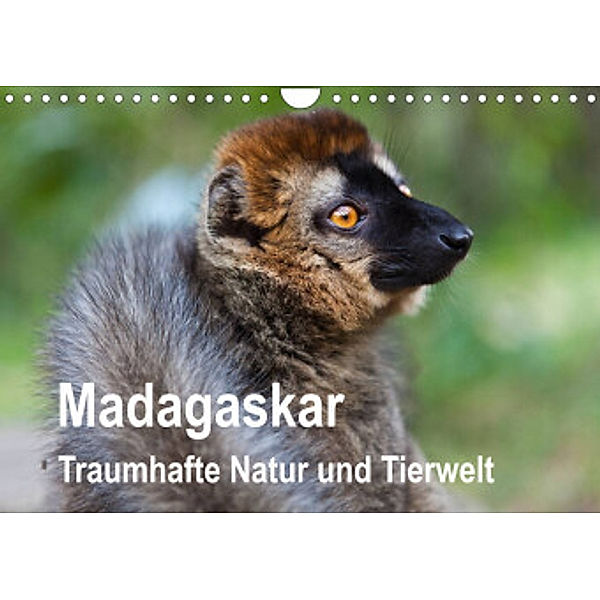 Madagaskar. Traumhafte Natur und Tierwelt (Wandkalender 2022 DIN A4 quer), Sabine Reuke