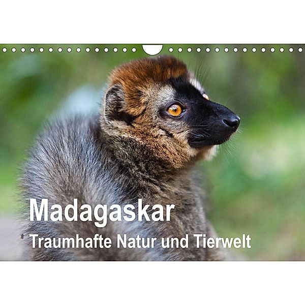 Madagaskar. Traumhafte Natur und Tierwelt (Wandkalender 2023 DIN A4 quer), Sabine Reuke
