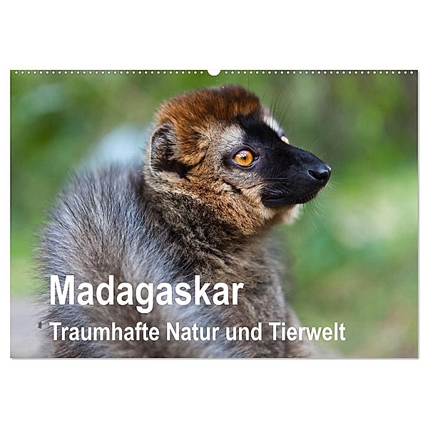 Madagaskar. Traumhafte Natur und Tierwelt (Wandkalender 2024 DIN A2 quer), CALVENDO Monatskalender, Sabine Reuke