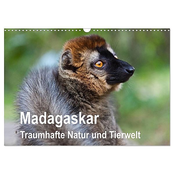 Madagaskar. Traumhafte Natur und Tierwelt (Wandkalender 2024 DIN A3 quer), CALVENDO Monatskalender, Sabine Reuke
