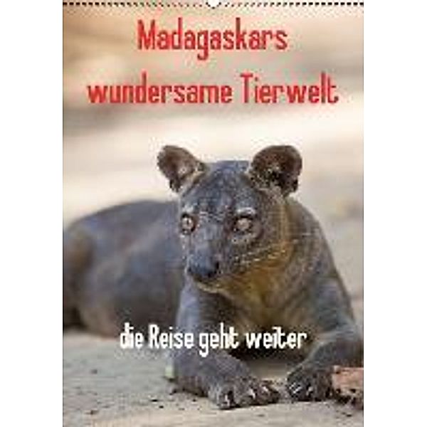 Madagaskars wundersame Tierwelt - die Reise geht weiter (Wandkalender 2016 DIN A2 hoch), Antje Hopfmann
