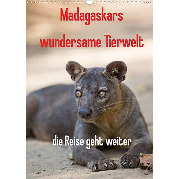 Madagaskars wundersame Tierwelt - die Reise geht weiter (Wandkalender 2022 DIN A3 hoch), Antje Hopfmann