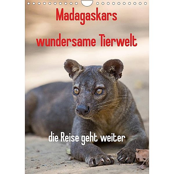 Madagaskars wundersame Tierwelt - die Reise geht weiter (Wandkalender 2023 DIN A4 hoch), Antje Hopfmann