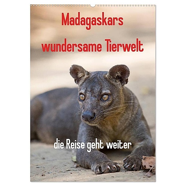 Madagaskars wundersame Tierwelt - die Reise geht weiter (Wandkalender 2024 DIN A2 hoch), CALVENDO Monatskalender, Antje Hopfmann