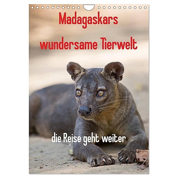 Madagaskars wundersame Tierwelt - die Reise geht weiter (Wandkalender 2024 DIN A4 hoch), CALVENDO Monatskalender, Antje Hopfmann