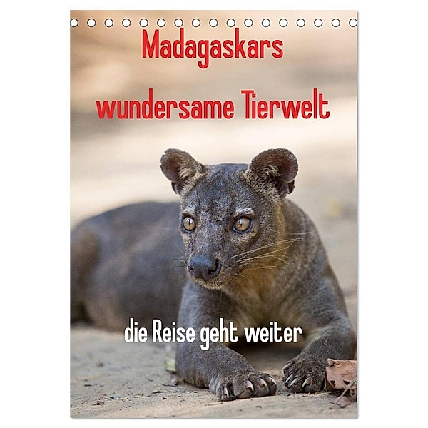 Madagaskars wundersame Tierwelt - die Reise geht weiter (Tischkalender 2024 DIN A5 hoch), CALVENDO Monatskalender, Antje Hopfmann