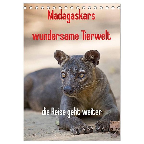 Madagaskars wundersame Tierwelt - die Reise geht weiter (Tischkalender 2025 DIN A5 hoch), CALVENDO Monatskalender, Calvendo, Antje Hopfmann