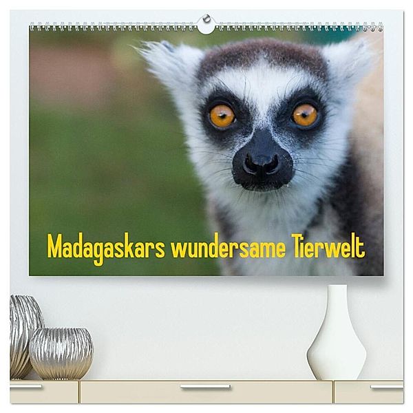Madagaskars wundersame Tierwelt (hochwertiger Premium Wandkalender 2025 DIN A2 quer), Kunstdruck in Hochglanz, Calvendo, Antje Hopfmann
