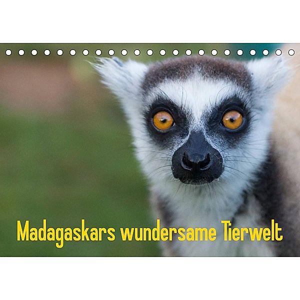 Madagaskars wundersame Tierwelt (Tischkalender 2023 DIN A5 quer), Antje Hopfmann