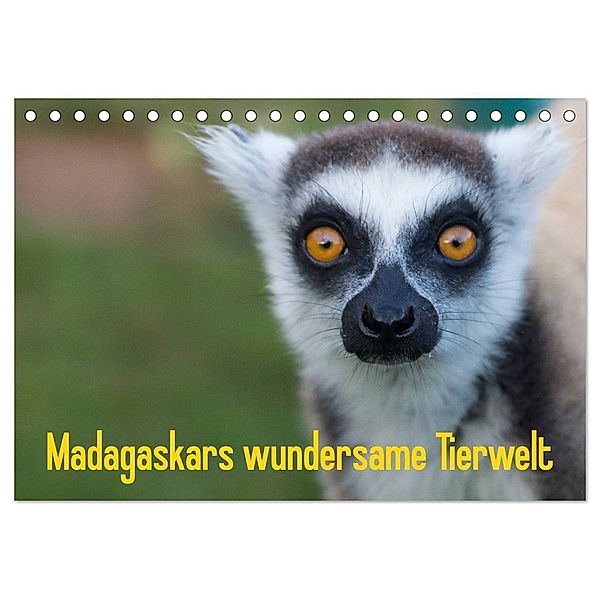 Madagaskars wundersame Tierwelt (Tischkalender 2025 DIN A5 quer), CALVENDO Monatskalender, Calvendo, Antje Hopfmann