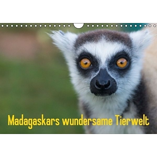 Madagaskars wundersame Tierwelt (Wandkalender 2015 DIN A4 quer), Antje Hopfmann
