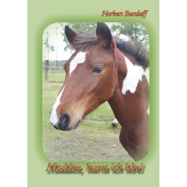 Maddox, hurra ich lebe!, Norbert Burzlaff