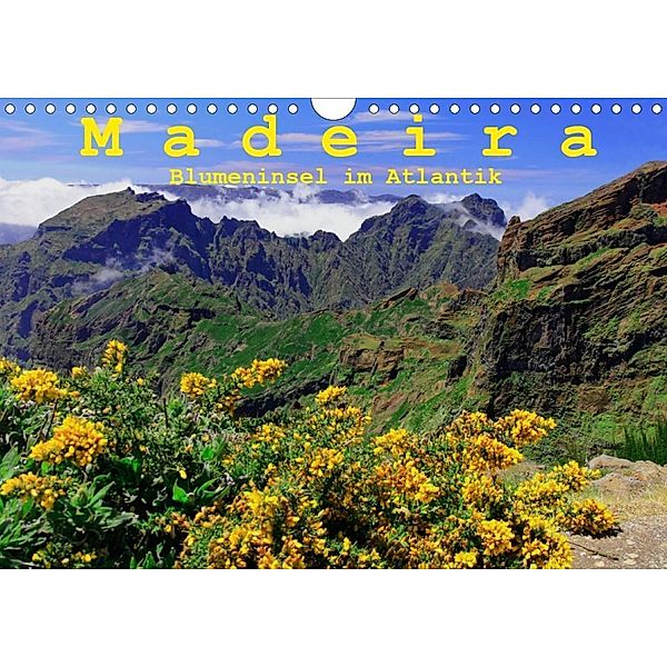 Madeira Blumeninsel im Atlantik (Wandkalender 2020 DIN A4 quer), Klaus Lielischkies