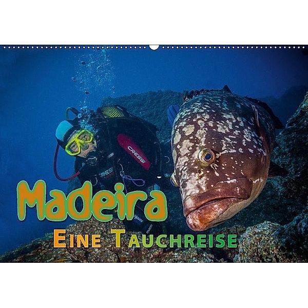 Madeira, eine Tauchreise (Wandkalender 2017 DIN A2 quer), Dieter Gödecke