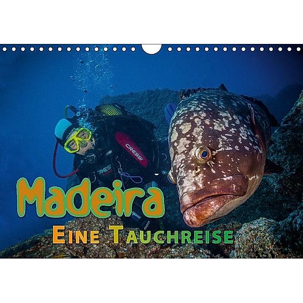 Madeira, eine Tauchreise (Wandkalender 2017 DIN A4 quer), Dieter Gödecke