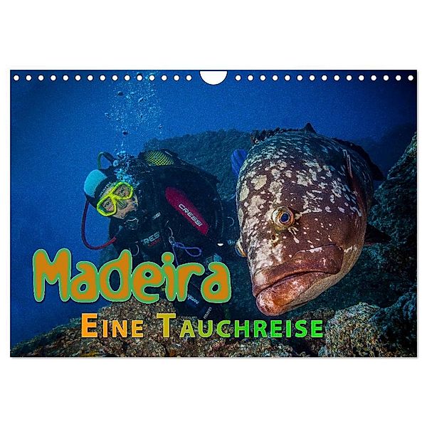 Madeira, eine Tauchreise (Wandkalender 2024 DIN A4 quer), CALVENDO Monatskalender, Dieter Gödecke