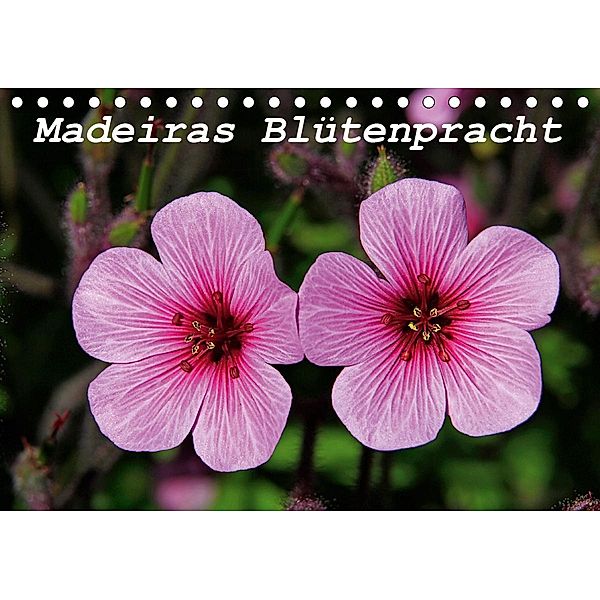Madeiras Blütenpracht (Tischkalender 2020 DIN A5 quer), Klaus Lielischkies