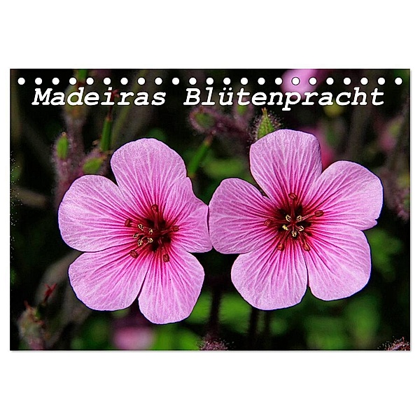 Madeiras Blütenpracht (Tischkalender 2024 DIN A5 quer), CALVENDO Monatskalender, Klaus Lielischkies