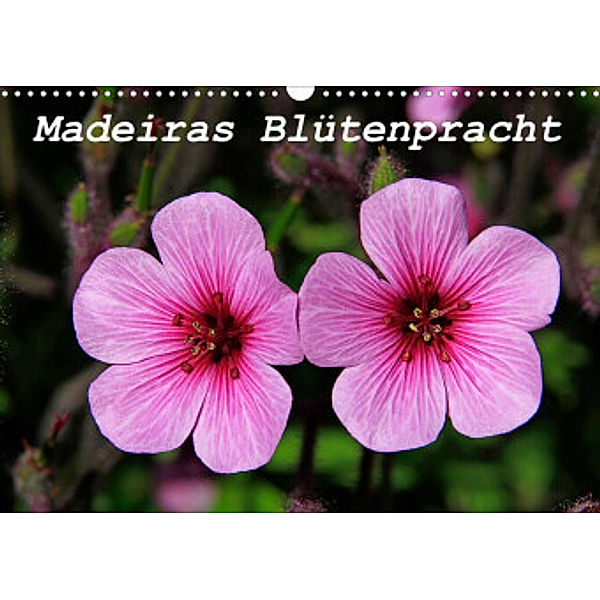 Madeiras Blütenpracht (Wandkalender 2022 DIN A3 quer), Klaus Lielischkies