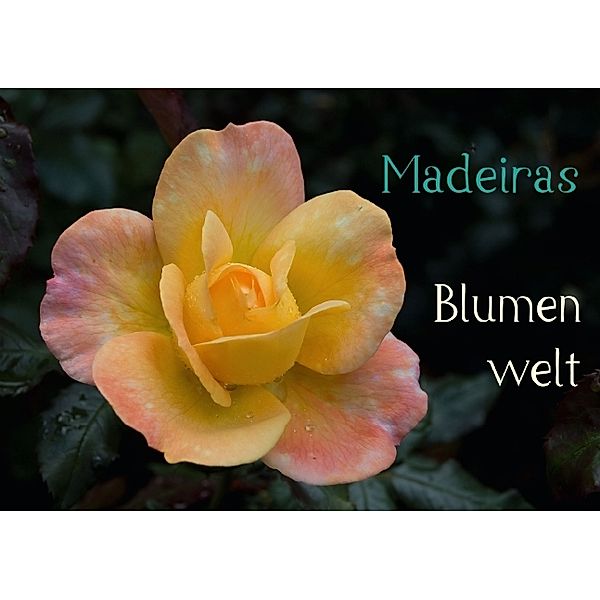 Madeiras Blumenwelt (Tischaufsteller DIN A5 quer), Jürgen Wöhlke