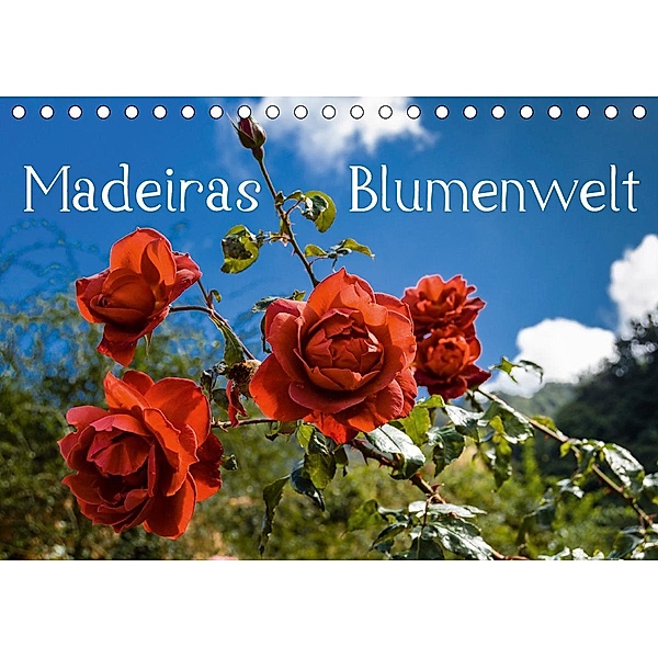 Madeiras Blumenwelt (Tischkalender 2021 DIN A5 quer), Jürgen Wöhlke