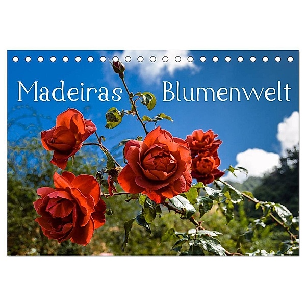 Madeiras Blumenwelt (Tischkalender 2024 DIN A5 quer), CALVENDO Monatskalender, Jürgen Wöhlke