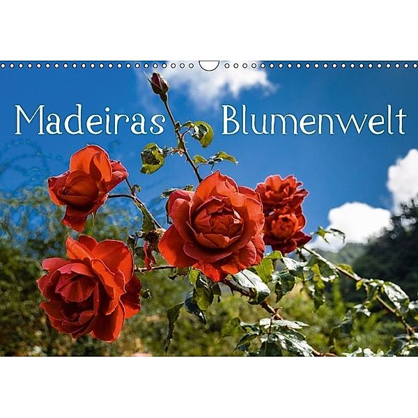 Madeiras Blumenwelt (Wandkalender 2017 DIN A3 quer), Jürgen Wöhlke