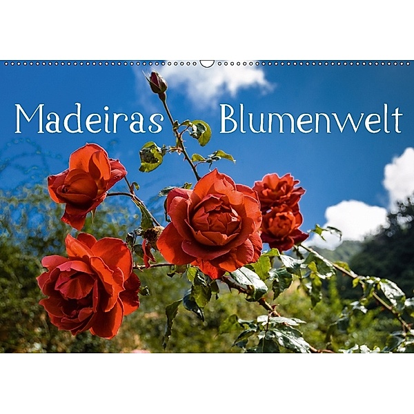 Madeiras Blumenwelt (Wandkalender 2018 DIN A2 quer), Jürgen Wöhlke