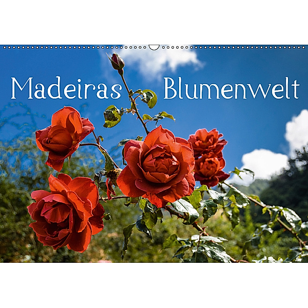 Madeiras Blumenwelt (Wandkalender 2019 DIN A2 quer), Jürgen Wöhlke