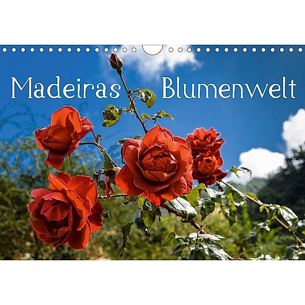 Madeiras Blumenwelt (Wandkalender 2021 DIN A4 quer), Jürgen Wöhlke