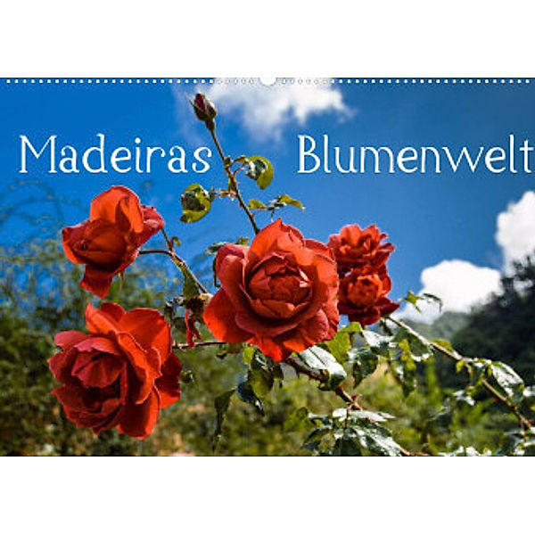 Madeiras Blumenwelt (Wandkalender 2022 DIN A2 quer), Jürgen Wöhlke